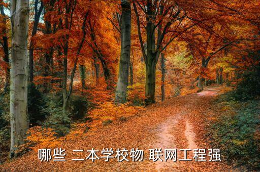 正規二本物聯網專業,物聯網是國家的正規平臺嗎...